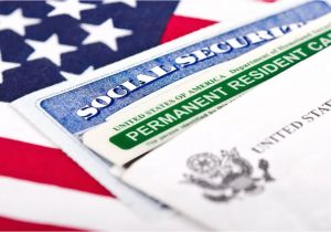 Uscis Green Card Background Check 130 Best Green Card organization Images In 2020 Green