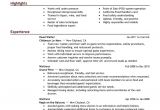 V Professional Resume 7 Samples Of Professional Resumes Sample Resumes