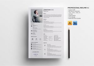 V Professional Resume Professional Resume V 1 Resume Templates Creative Market