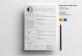 V Professional Resume Professional Resume V 2 Resume Templates On Creative Market