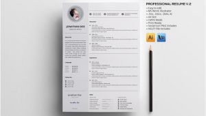 V Professional Resume Professional Resume V 2 Resume Templates On Creative Market