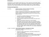 V Professional Resume U S Resume format Professional 3 Resume format Cv