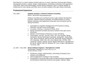 V Professional Resume U S Resume format Professional 3 Resume format Cv