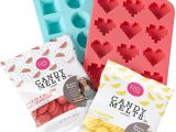 Valentine Nerds Candy and Card Kit Rosanna Pansino by Wilton Hearts N Gems Candy Making Kit