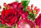 Valentine S Day Flower Card Quotes 15 Beautiful Quotes About Flowers A 75 Teleflora Com Gift