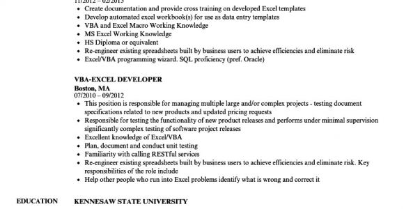 Vba Developer Resume Sample Excel Vba Developer Resume Samples Velvet Jobs