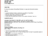 Vba Developer Resume Sample Visual Basic Resume Best Resume Collection