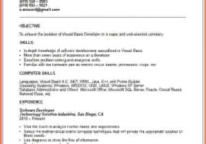 Vba Developer Resume Sample Visual Basic Resume Best Resume Collection
