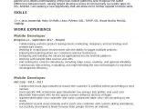 Vba Developer Sample Resume Mobile Application Developer Resume