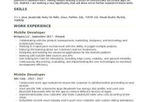 Vba Developer Sample Resume Mobile Application Developer Resume