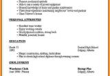 Very Basic Resume format 7 Simple Professional Resume Template Professional