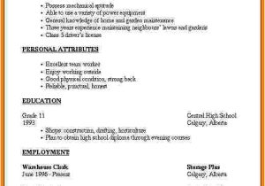 Very Basic Resume format 7 Simple Professional Resume Template Professional