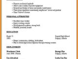Very Basic Resume Template 7 Simple Professional Resume Template Professional