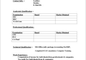 Very Basic Resume Very Basic Resume Template Template Resume Examples