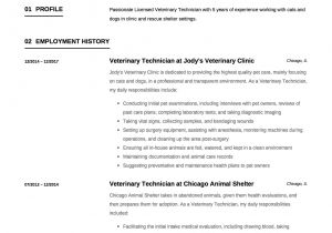 Vet Tech Resume Samples Guide Veterinary Technician Resume 12 Samples Pdf