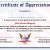 Veterans Appreciation Certificate Template 50 Professional Free Certificate Of Appreciation