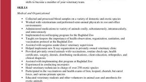 Veterinary assistant Resume Samples Resume Examples 2016 Archives Resume 2016