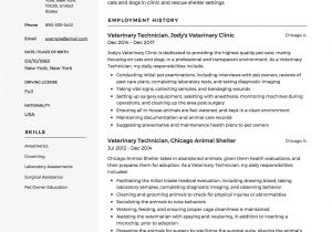 Veterinary Resume Samples Guide Veterinary Technician Resume 12 Samples Pdf