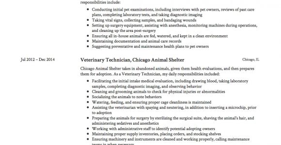 Veterinary Resume Samples Guide Veterinary Technician Resume 12 Samples Pdf