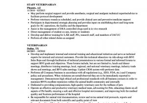Veterinary Resume Samples Veterinarian Resume Samples Velvet Jobs