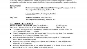 Veterinary Student Resume Cv Template Veterinary Student 1 Cv Template Student
