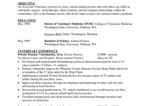 Veterinary Student Resume Cv Template Veterinary Student 1 Cv Template Student