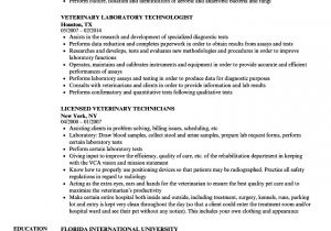 Veterinary Student Resume Examples Veterinary Resume Samples Velvet Jobs