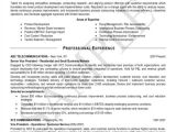 Vice President Resume Samples 4 Resume Tips to Combat Age Discrimination Tips Guides