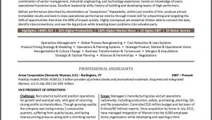 Vice President Resume Samples Example Vice President Resume for An Executive Candidate