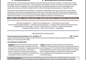 Vice President Resume Samples Example Vice President Resume for An Executive Candidate