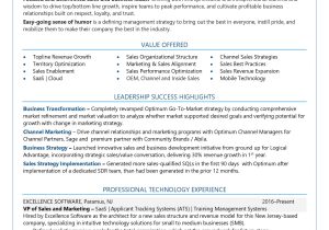 Vice President Resume Samples Resume Samples