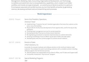 Vice President Resume Samples Senior Vice President Resume Samples Templates Visualcv