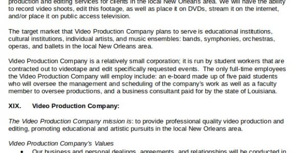 Video Production Business Plan Template 20 Business Plan Templates Free Premium Templates