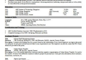 Visual Basic 6.0 Developer Resume Over 10000 Cv and Resume Samples with Free Download