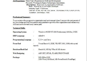 Visual Basic 6.0 Developer Resume Resume Blog Co Excellent Resume Sample Of Experienced