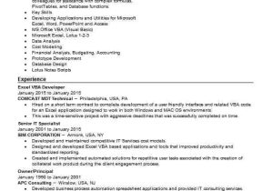 Visual Basic Resume Next Excel Vba Developer Resume Sample Developer Resumes