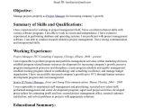 Visual Basic Resume Statement Objective Statements Sample Resume top Best Resume Cv the
