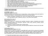 Visual Basic Resume Statement Resumes for Excavators Construction Resume Resumes