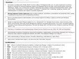 Vmware Engineer Resume Sameer 39 S Vmware Wintel Systems Engineer Resume 04 2016