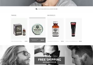 Volusion Templates for Sale 5 Best Volusion Templates Designs 1digital Agency