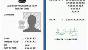 Voter Card Verification by Name You Can Get Errors In Voter S Card Rectified by October 15
