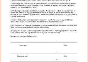 Waiver Of Responsibility Template Liability Waiver form form Trakore Document Templates