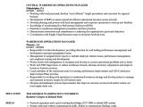 Warehouse Manager Resume Sample Director Of Operations Resume Objectives Mt Home Arts