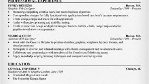 Web Designer Resume Sample Graphic Web Designer Resume Sample Resumecompanion Com