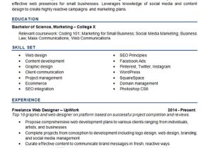 Web Designer Resume Sample Web Designer Resume Example Development Seo social Media