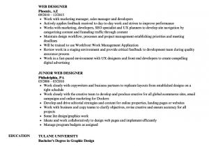 Web Designer Resume Sample Web Designer Resume Samples Velvet Jobs