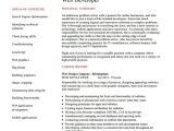 Web Developer Fresher Resume format 13 Web Developer Resume Templates Doc Pdf Free