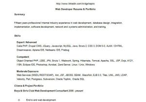 Web Developer Fresher Resume format 30 Best Developer software Engineer Resume Templates