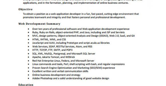 Web Developer Fresher Resume format 30 Best Developer software Engineer Resume Templates