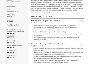 Web Developer Fresher Resume format Web Developer Resume Templates 2020 Free Download